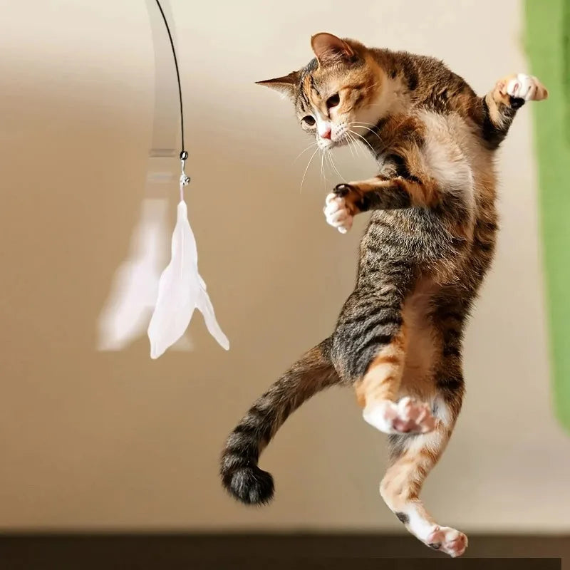 Order feathers cat toy with suction cup to encourage active play, daily exercise, and natural hunting behavior in your cat.