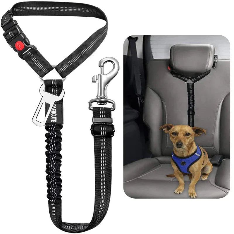 The Road Trip Ready — Built for the Dog Who Rides Shotgun