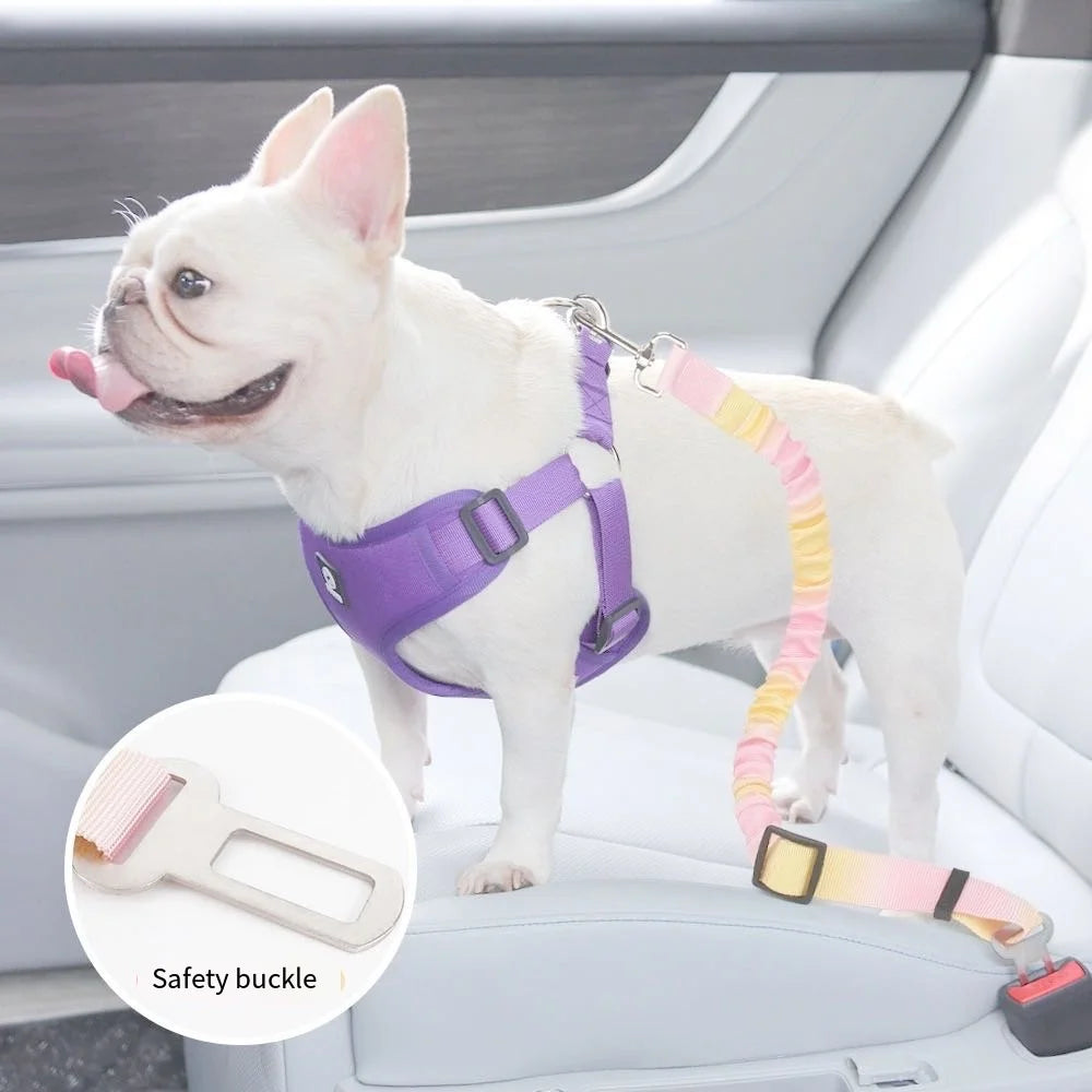 The Backseat Standard — Every Ride, Locked In Safe