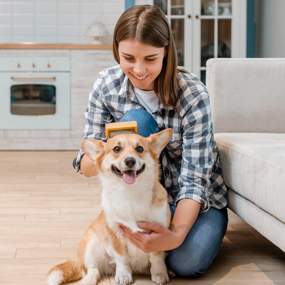 Top 10 Professional Pet Products You Need for Your Pet's Well-Being