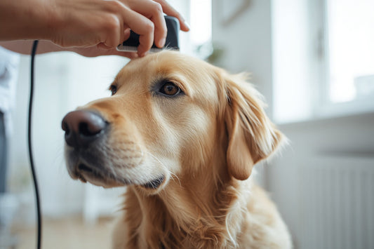 Dog Hair Cutting Comb & Grooming Essentials For A Smooth And Tangle-Free Coat