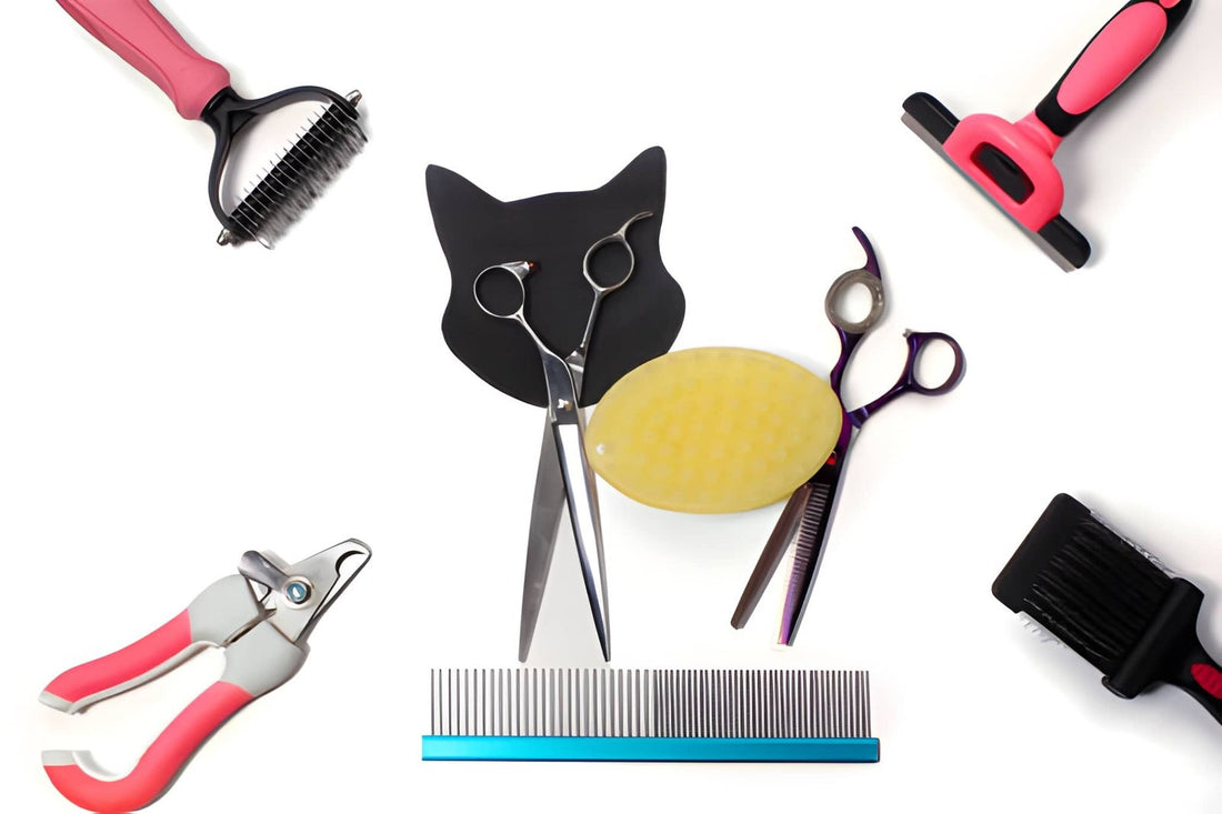Essential pet grooming tools should match your dog’s coat. Learn which tools suit different fur types and simplify grooming.
