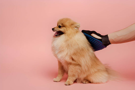 Support calmer grooming with a Hand Mitt for Dog Hair that lifts loose fur and cares for sensitive coats. Shop Puppy MEO now.