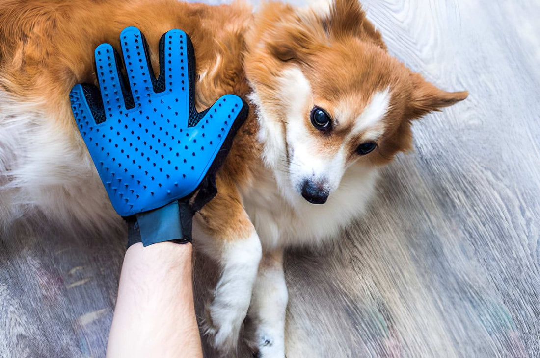 Give your dog a calmer bath with a Hand Mitt For Dog Hair that glides gently over sensitive skin. Explore Puppy MEO grooming.