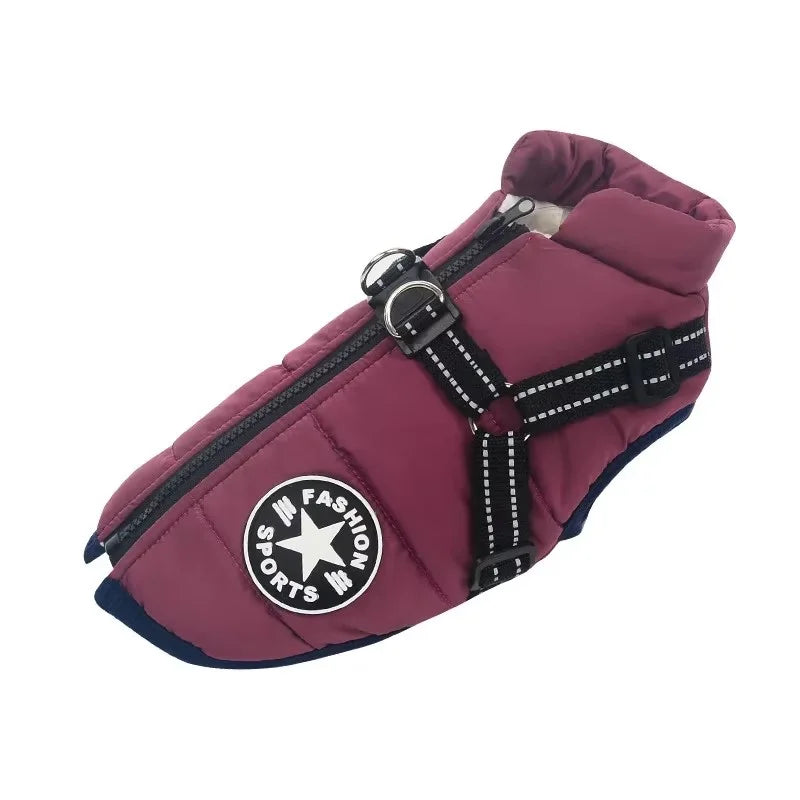 Shop a waterproof dog jacket with harness that helps shield dogs from cold weather while providing a secure leash attachment.