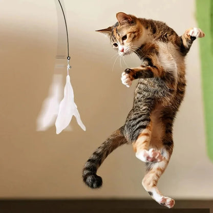 Order feathers cat toy with suction cup to encourage active play, daily exercise, and natural hunting behavior in your cat.