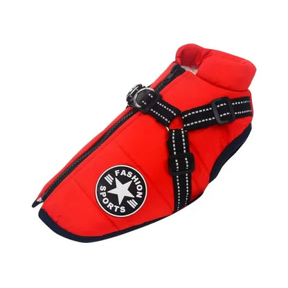 Protect your dog from cold winds and light splashes with a waterproof dog jacket with harness made for outdoor activities.
