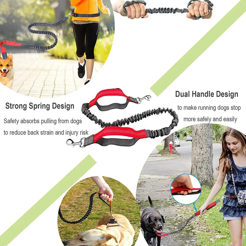 Retractable Hands-Free Dog Leash