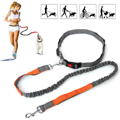 Retractable Hands-Free Dog Leash