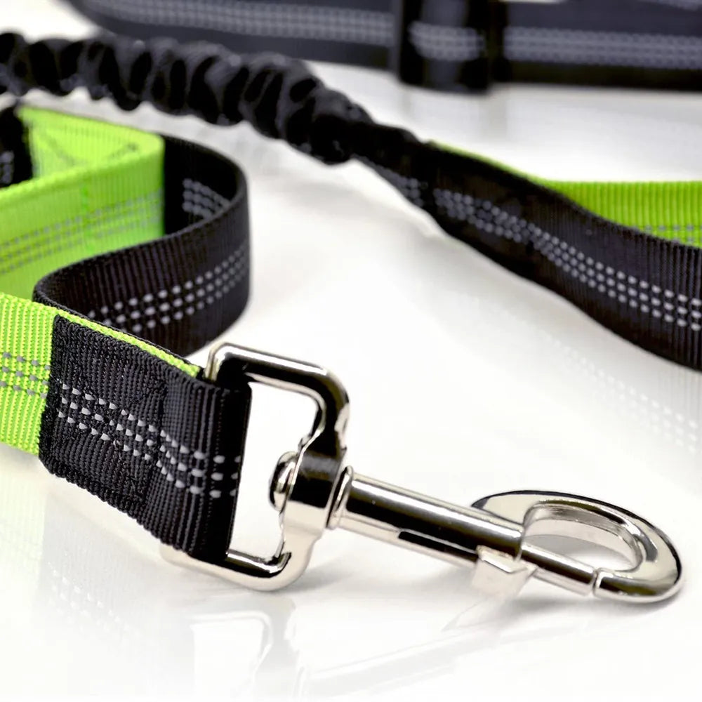 Retractable Hands-Free Dog Leash