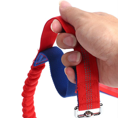 Retractable Hands-Free Dog Leash