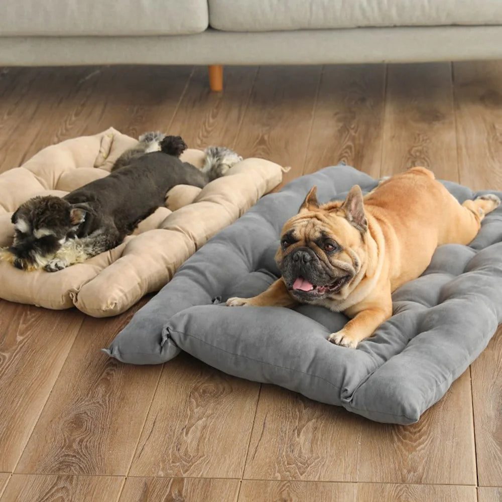 3-in-1 Multifunction Pet Bed