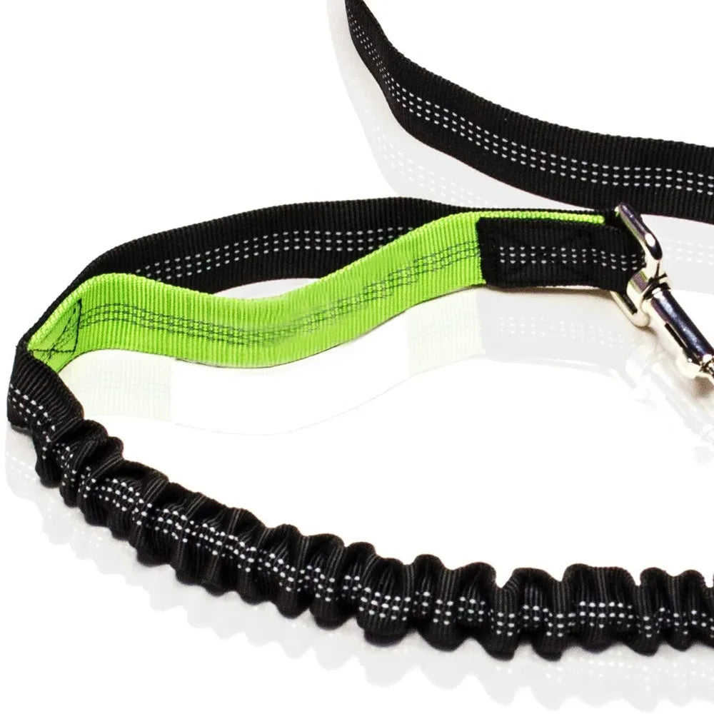 Retractable Hands-Free Dog Leash