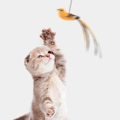 Bring out your cat’s natural hunting instincts with our bird teaser with feathers cat toy. A fun way to support mental stimulation.