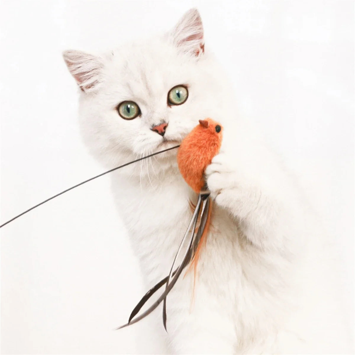 Keep your cat active with our bird teaser with feathers cat toy. Safe and perfect for hunting play, and indoor exercise fun.