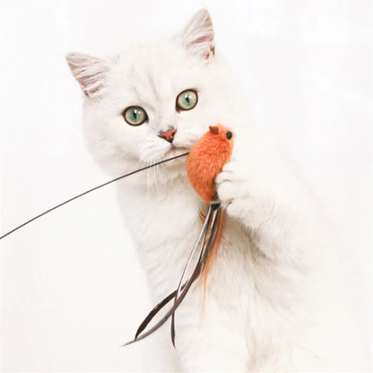 Keep your cat active with our bird teaser with feathers cat toy. Safe and perfect for hunting play, and indoor exercise fun.
