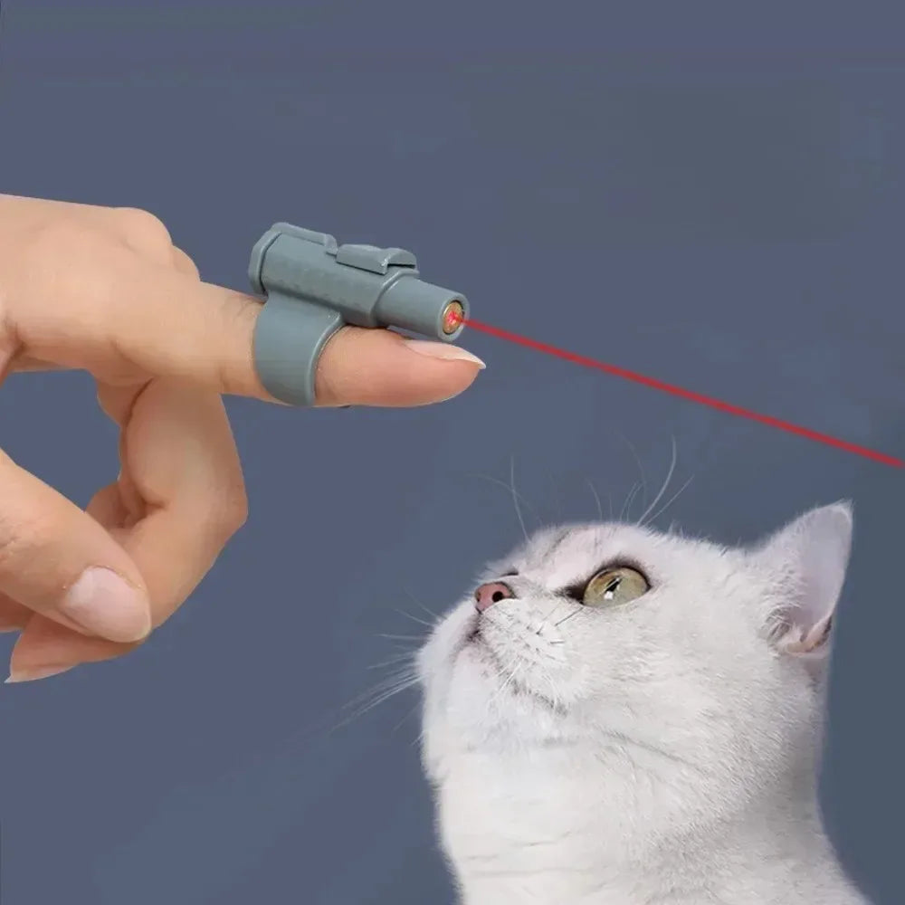 Fun indoor cat activity featuring a portable mini laser cat toy that encourages movement, exercise, and playful interaction.