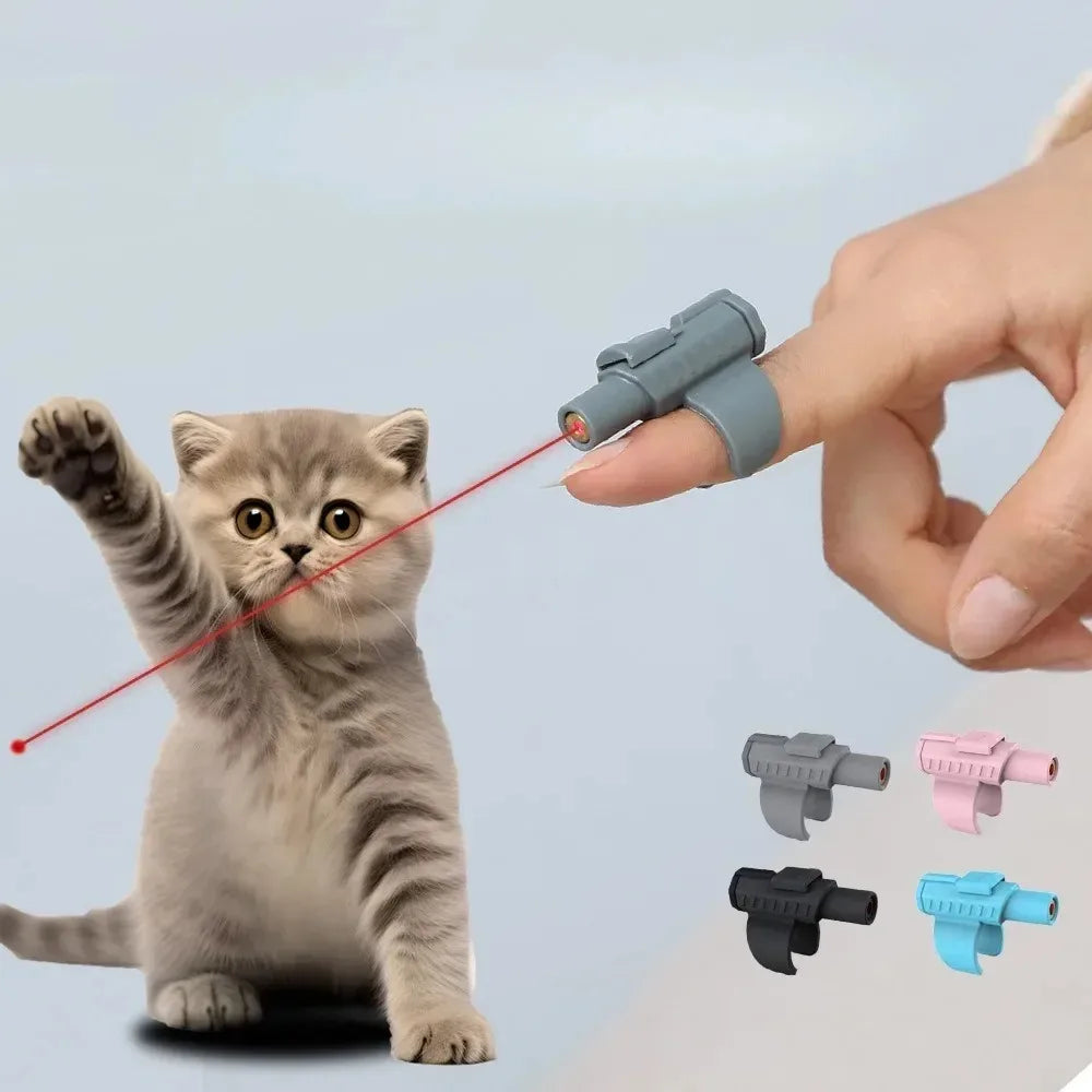 Playful cat engaged with a portable mini laser cat toy, following the light while staying active, alert, and entertained indoors.