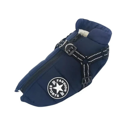 Protect your dog from cold winds and light splashes with a waterproof dog jacket with harness made for outdoor activities.