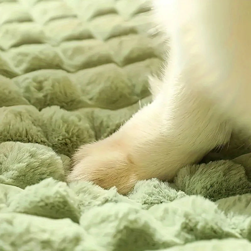 Four Seasons Dog Sleeping Mat