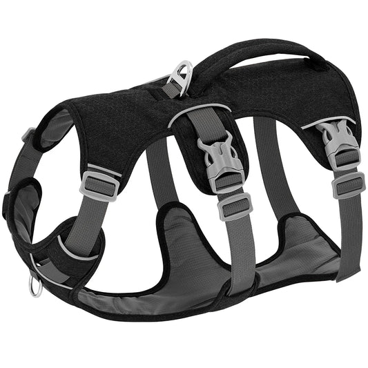 Reflective Nylon Dog Harness