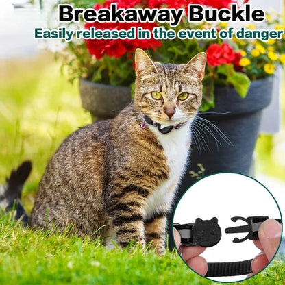 Reflective Cat Collar with Tracker Holder