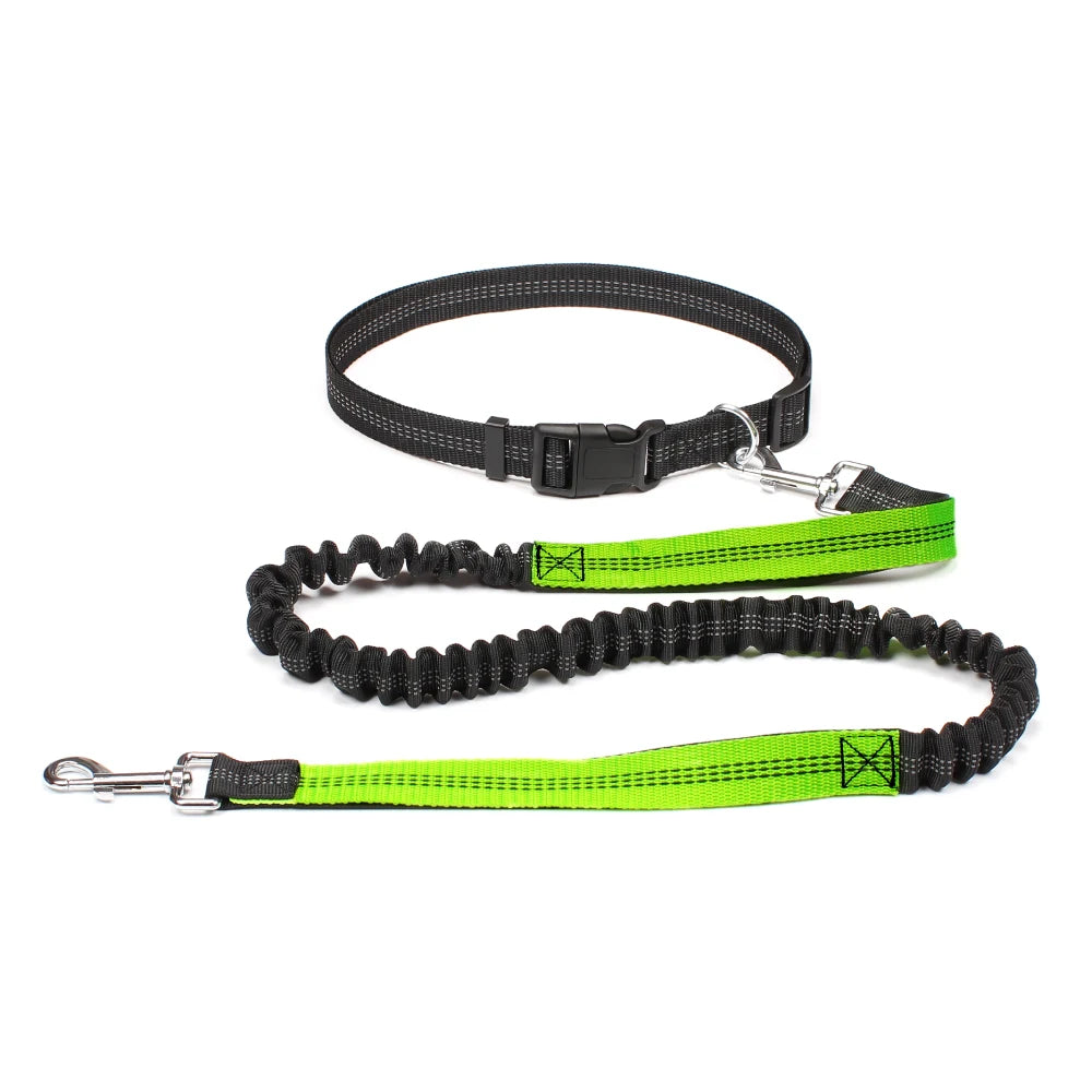 Hands Free Dog Waist Leash