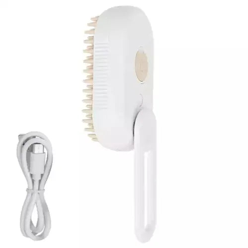 Steam Spray Pet Massage Brush