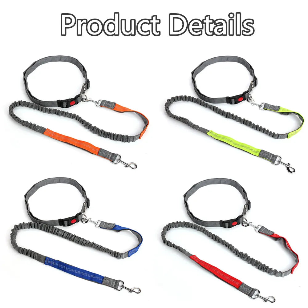 Retractable Hands-Free Dog Leash