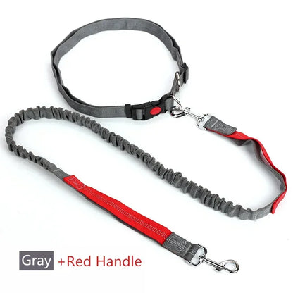 Retractable Hands-Free Dog Leash