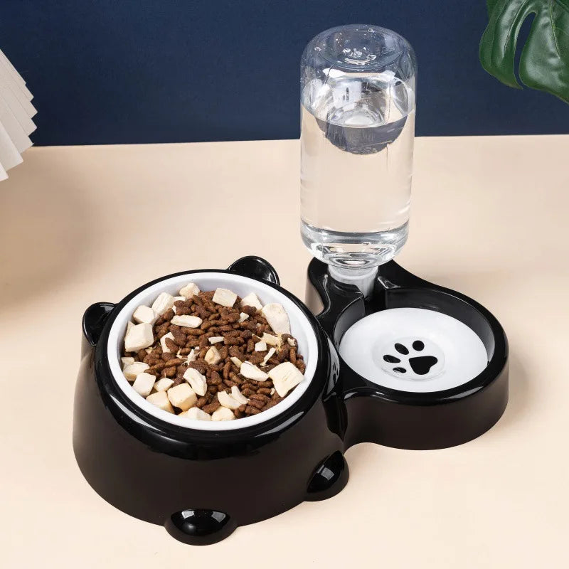 2-in-1 Tilted Pet Bowl Feeder