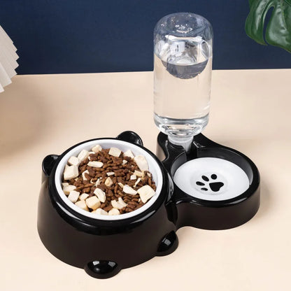2-in-1 Tilted Pet Bowl Feeder