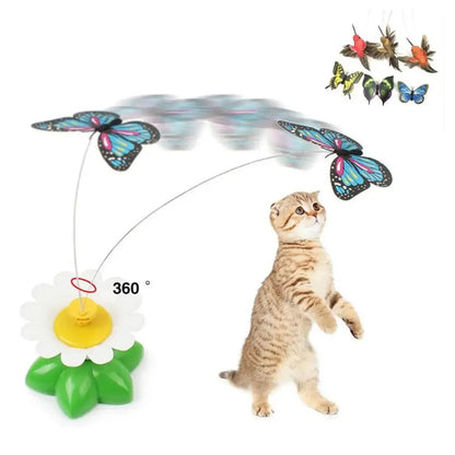 Electric Butterfly Cat Toy