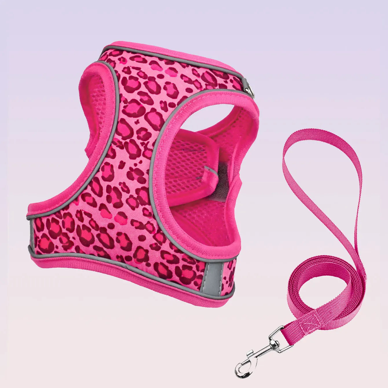 Adjustable Leopard Print Pet Harness Set