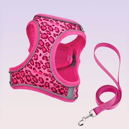 Adjustable Leopard Print Pet Harness Set