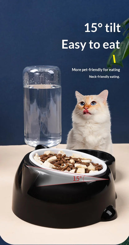 2-in-1 Tilted Pet Bowl Feeder