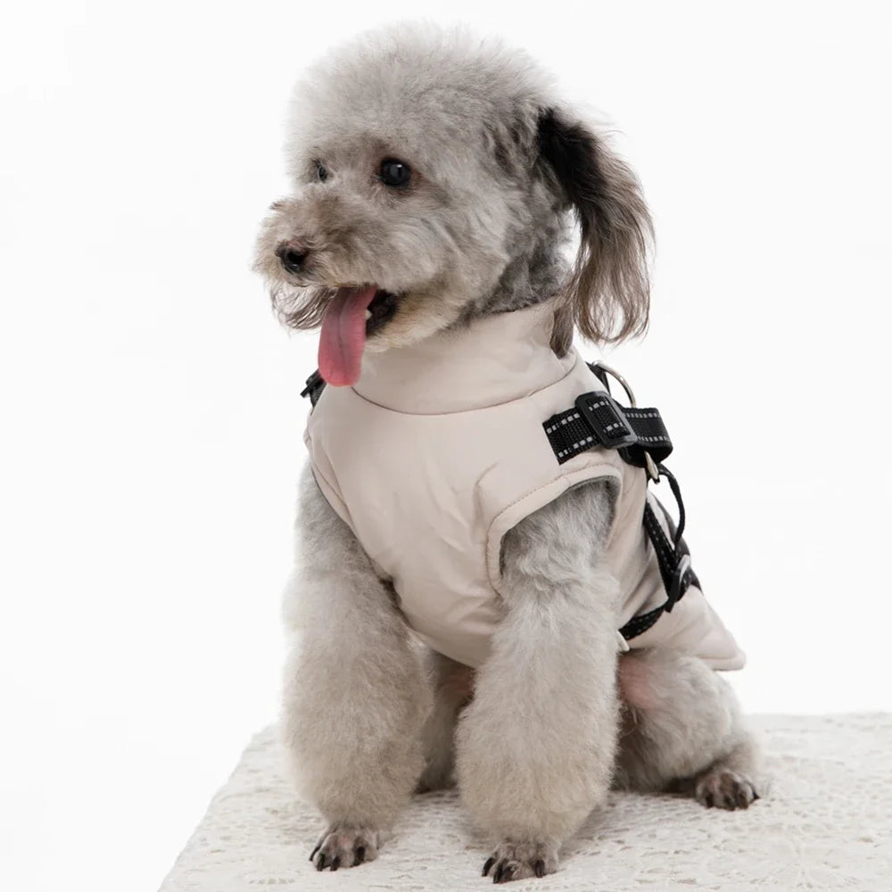 Dog Windbreaker Jacket with Harness