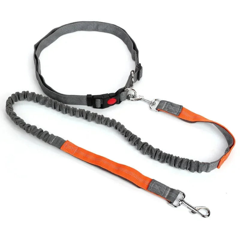Retractable Hands-Free Dog Leash