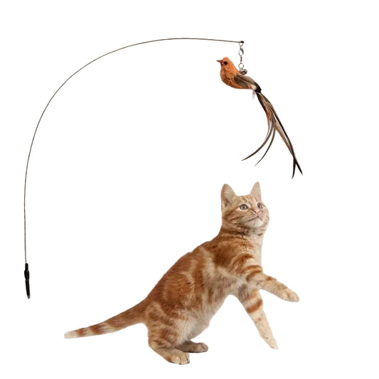 Interactive Bird Teaser Cat Toy
