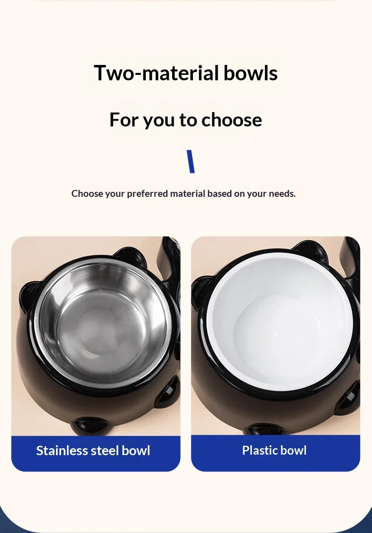 2-in-1 Tilted Pet Bowl Feeder