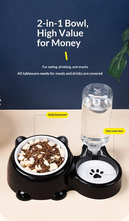 2-in-1 Tilted Pet Bowl Feeder
