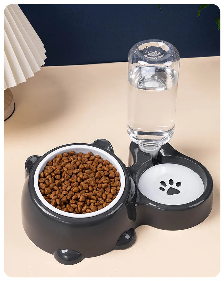 2-in-1 Tilted Pet Bowl Feeder