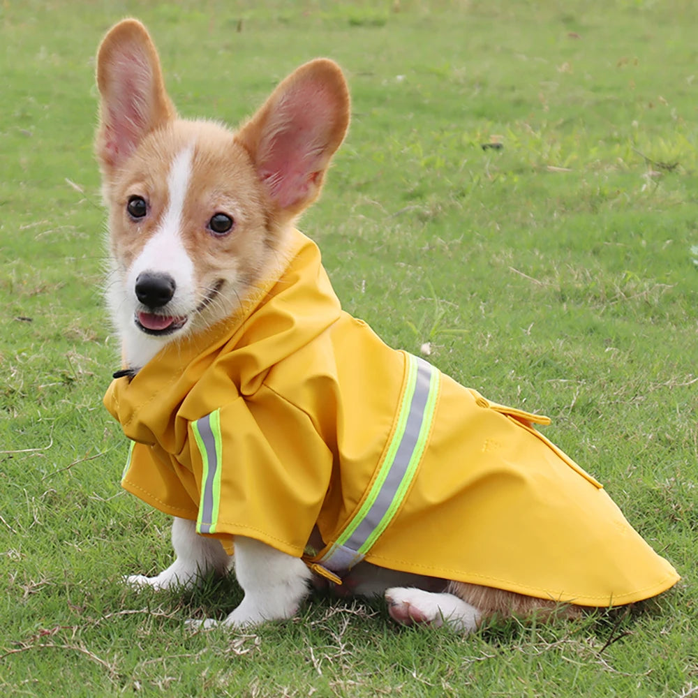Dog Raincoat with Hood
