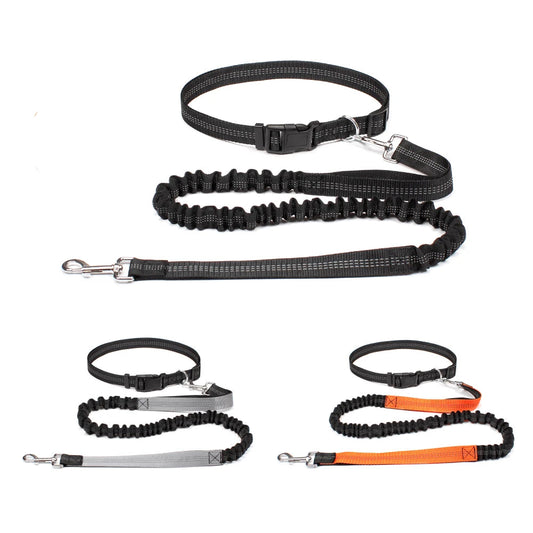 Hands Free Dog Waist Leash
