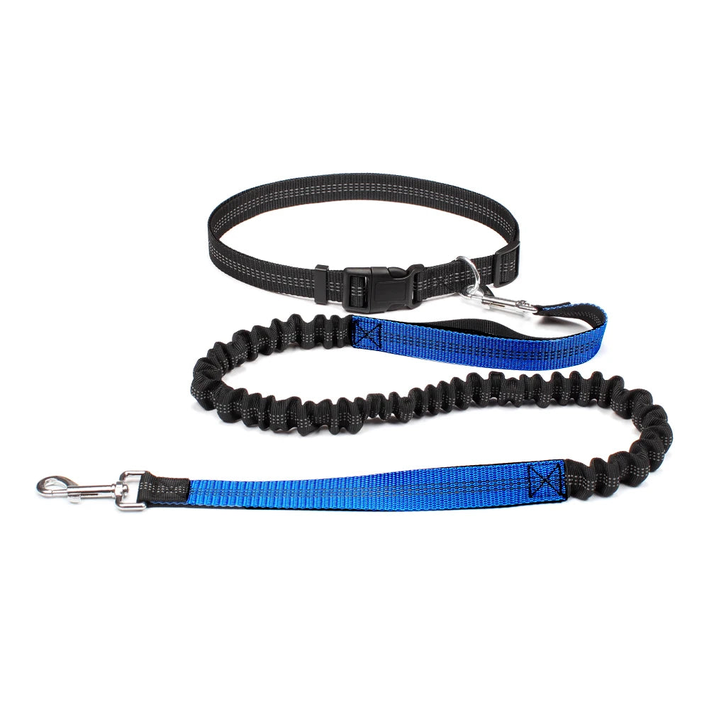 Hands Free Dog Waist Leash