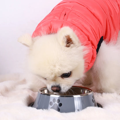 Stainless Steel Pet Food Bowl (16–22cm)