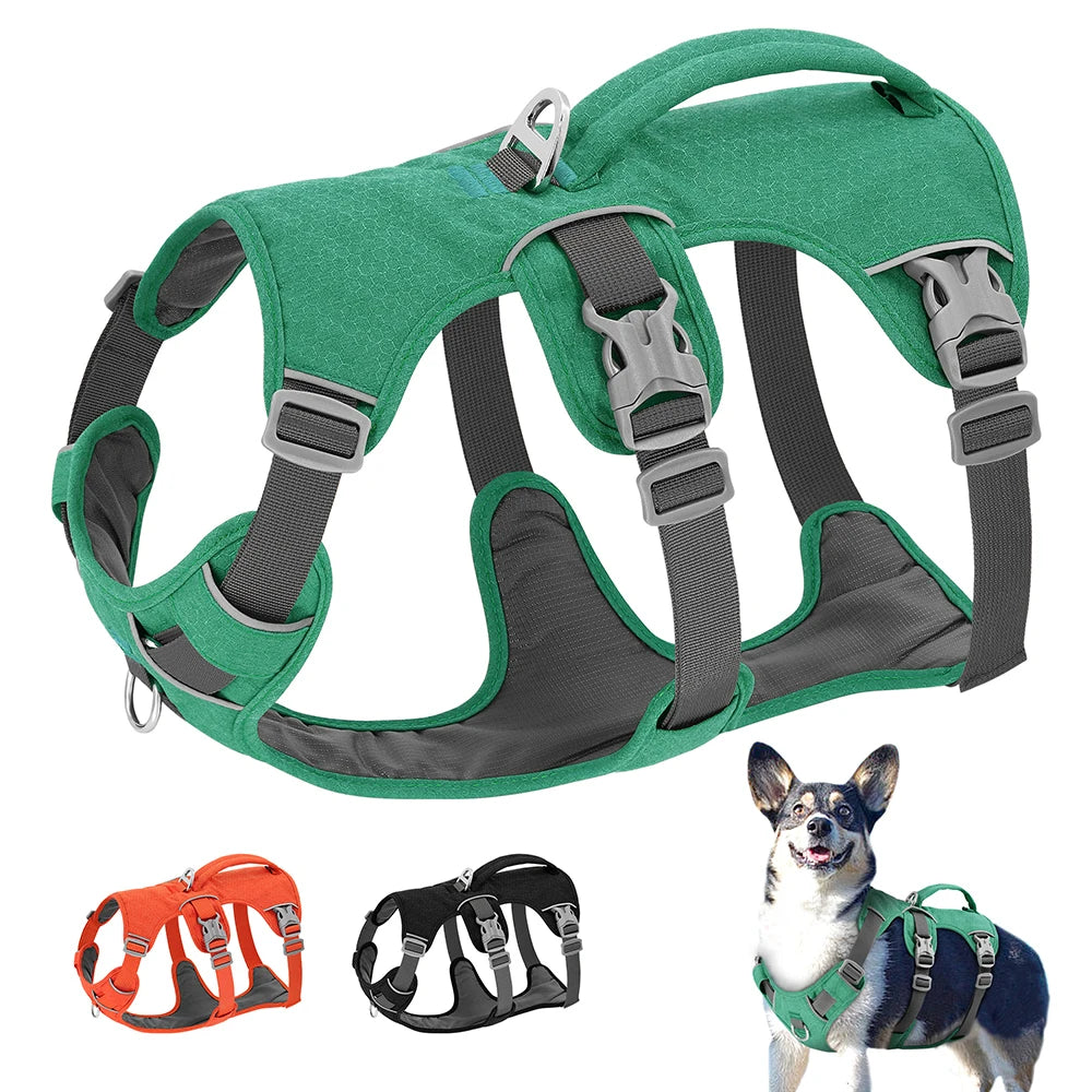 Reflective Nylon Dog Harness