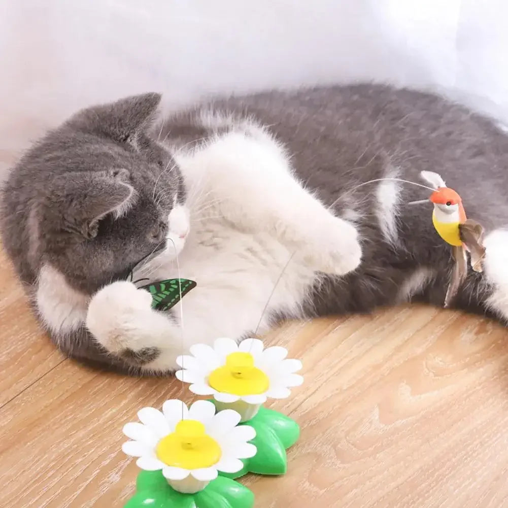 Electric Butterfly Cat Toy