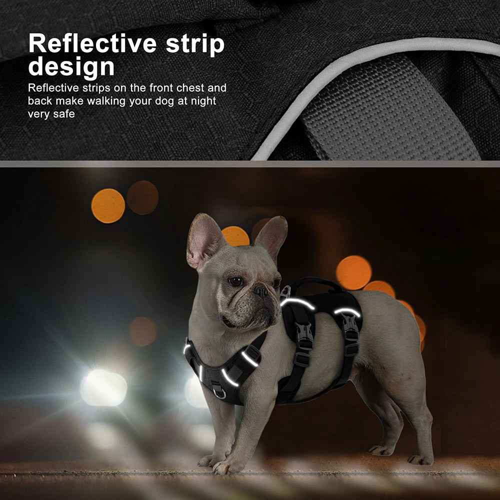 Reflective Nylon Dog Harness