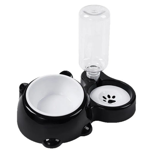 2-in-1 Tilted Pet Bowl Feeder
